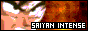 ::Saiyan-Intense::
