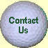 Contact us!