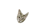 tiny tiny smellycat