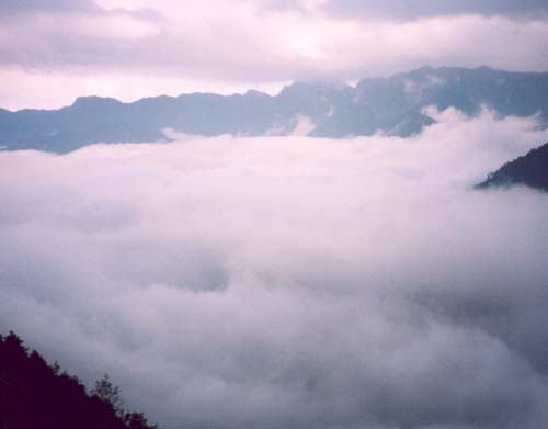 44_NovDec2002
