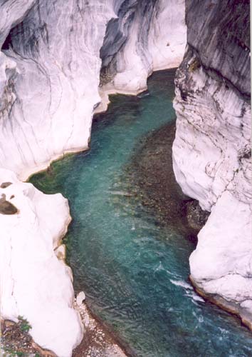 50_NovDec2002