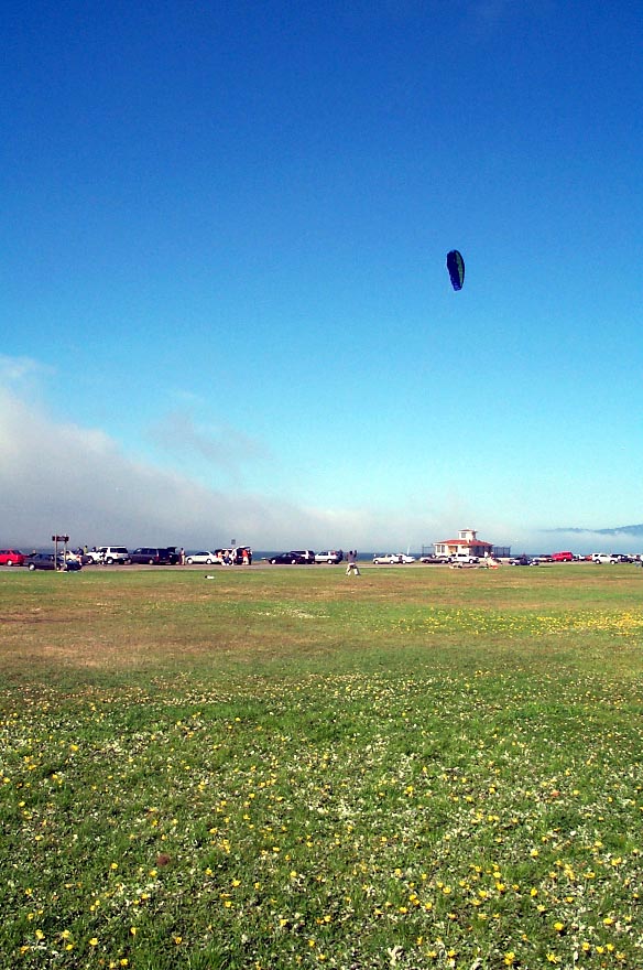 Go Fly A Kite