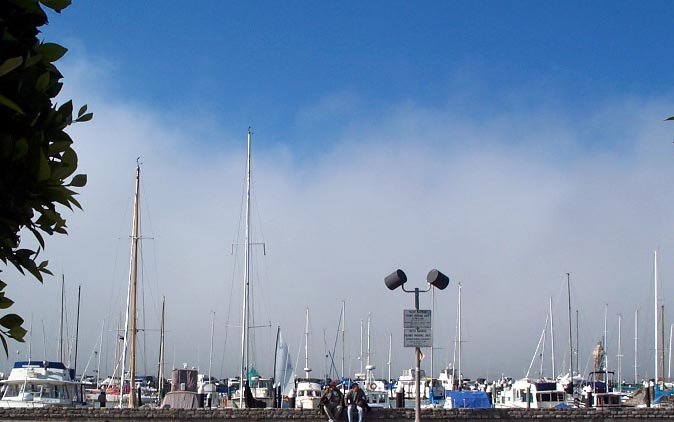 Waiting At The Marina