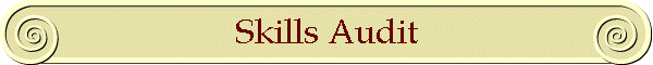 Skills Audit