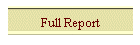 Full Report