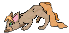 MeadowCat.gif (3294 bytes)