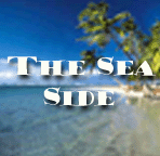 SeaSide.gif (15022 bytes)