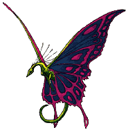 butterflyDrag.gif (9963 bytes)