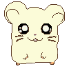 Ham-Ham Base