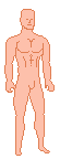 Male Base 1