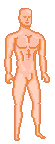 Male Base 2