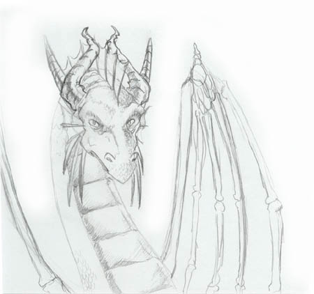 blue dragon Drakkonia