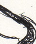 dragon sketch