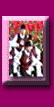 Cellebrate Distinguish Members