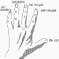 Tangan di kepala