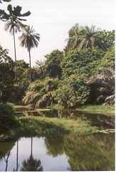 lake