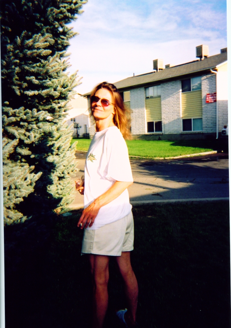 2003 my index