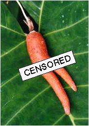 El George Clooney de los vegetales