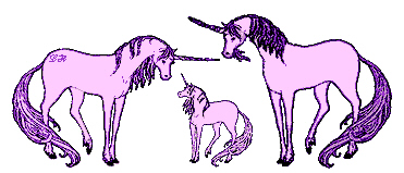 Unicorn Family