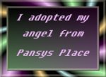 Adopt An Angel!!