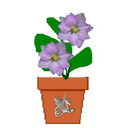 The Site Fights Spirit Flowers