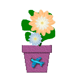 The Site Fights Spirit Flowers