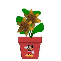 The Site Fights Spirit Flowers