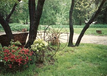 Front Yard