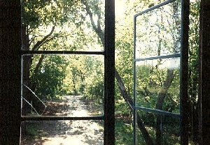 View Out My Bedroom Window