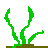 seaweed 6