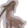 Hermes' Horse