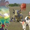 Texan Cows