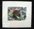 flowersun.jpg (32198 bytes)