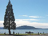 Lake Rotorua