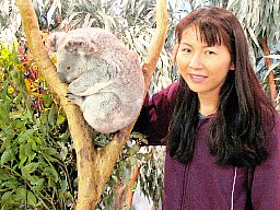 Koala & Me