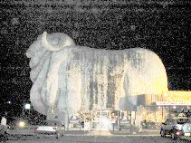 Huge Sheep