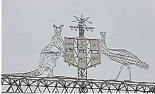 Nation's Symbol