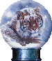 snowtiger.gif