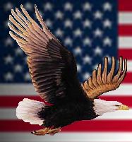 American Eagle