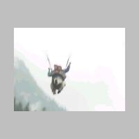 manali_3.html
