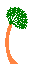 windblown palm