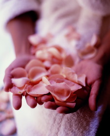 Person holding petals