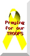 troops.jpg (6365 bytes)
