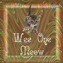 MeowNoodle