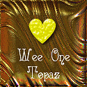 TopieNoodle
