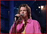 100499c.jpg (9495 bytes)