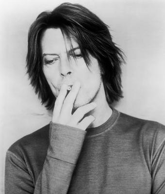 david_bowie3.jpg (16827 bytes)