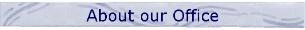 About our Office