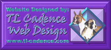 TL Cadence Web Design