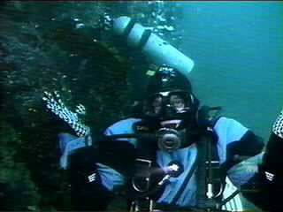 dryg325.jpg